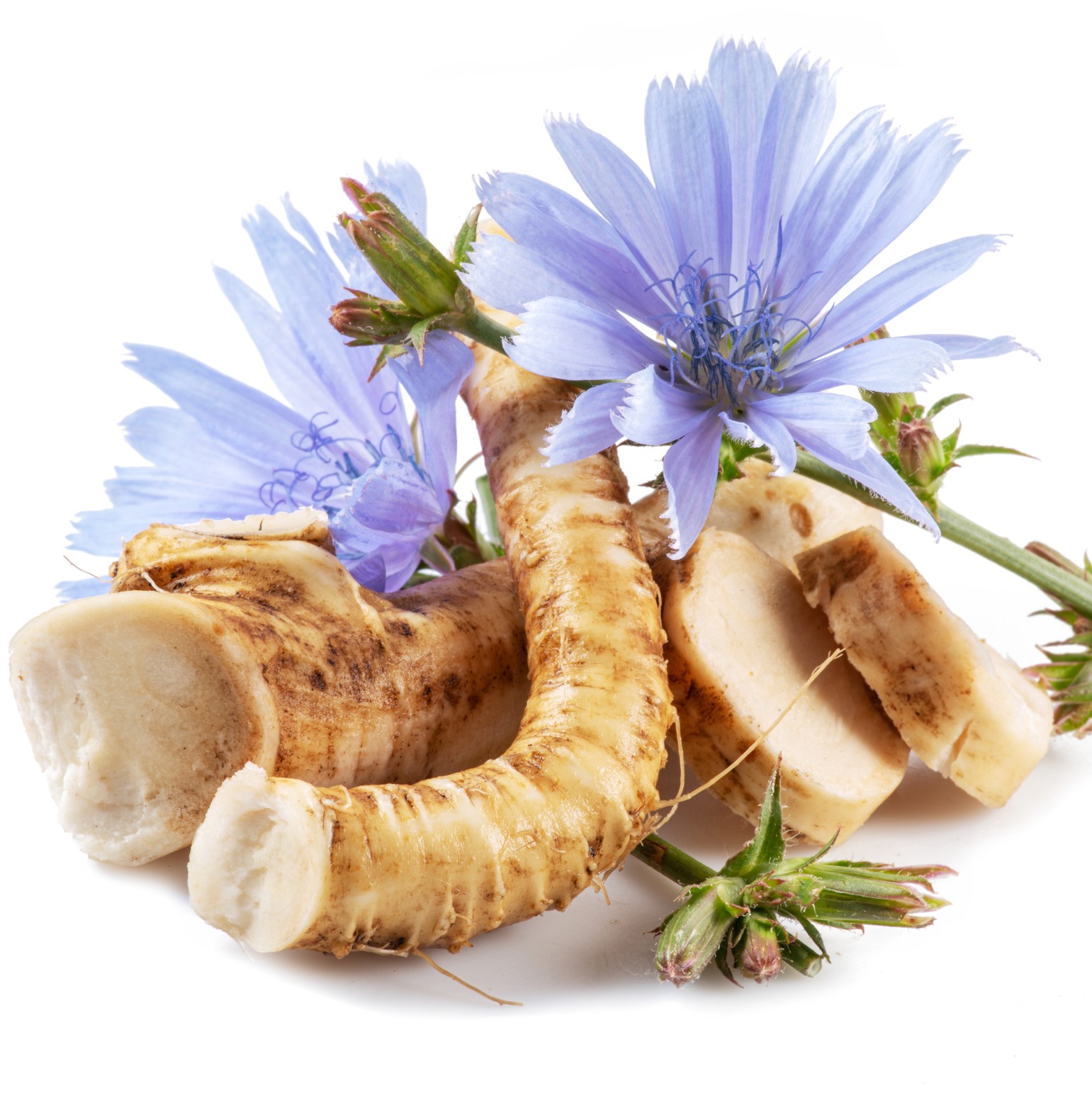 Chicory Root Health Benefits, Nutrition Facts And Uses Axe, 42% OFF